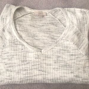 Dolman sleeve shirt loft